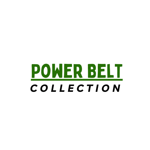 Customized Powerlifting Weightlifting, Deadlifting Lever Belt - PowerFit Leather Belts